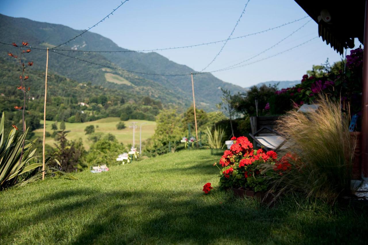 La Casa Di Emy Villa Solto Collina Екстериор снимка