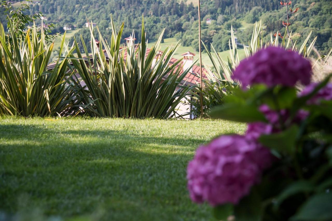 La Casa Di Emy Villa Solto Collina Екстериор снимка