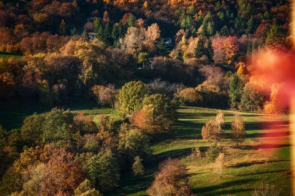 La Casa Di Emy Villa Solto Collina Стая снимка